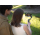 DJI Osmo Mobile 8 - 1417214 - zdjęcie 13